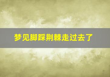 梦见脚踩荆棘走过去了