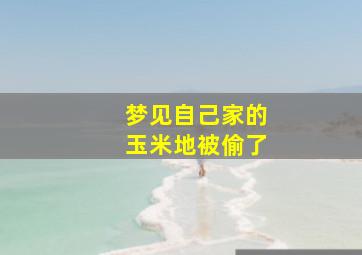 梦见自己家的玉米地被偷了