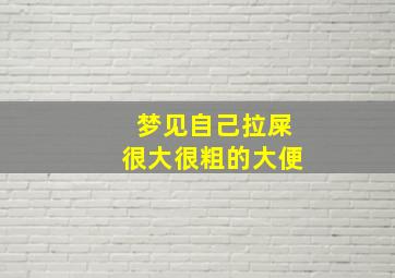 梦见自己拉屎很大很粗的大便