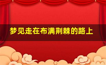 梦见走在布满荆棘的路上