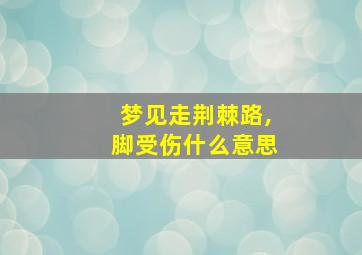 梦见走荆棘路,脚受伤什么意思