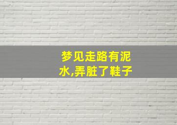 梦见走路有泥水,弄脏了鞋子