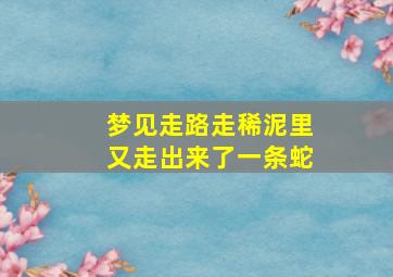 梦见走路走稀泥里又走出来了一条蛇