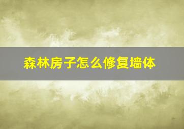 森林房子怎么修复墙体