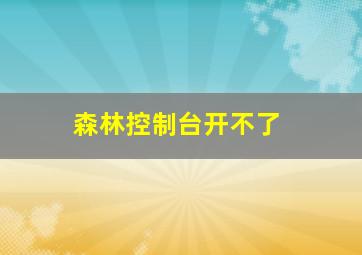 森林控制台开不了