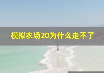 模拟农场20为什么走不了