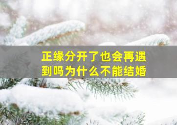 正缘分开了也会再遇到吗为什么不能结婚