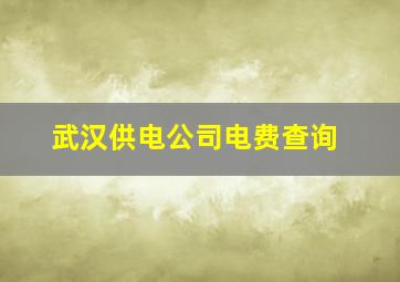 武汉供电公司电费查询