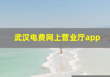 武汉电费网上营业厅app