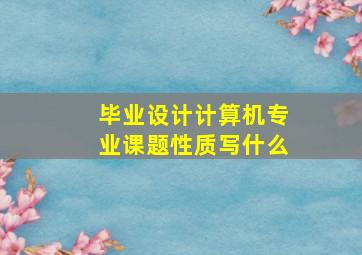 毕业设计计算机专业课题性质写什么