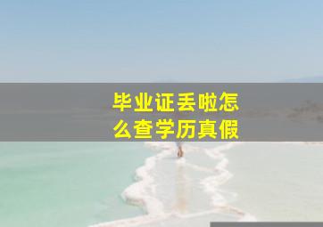 毕业证丢啦怎么查学历真假