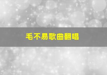 毛不易歌曲翻唱