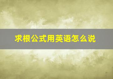 求根公式用英语怎么说