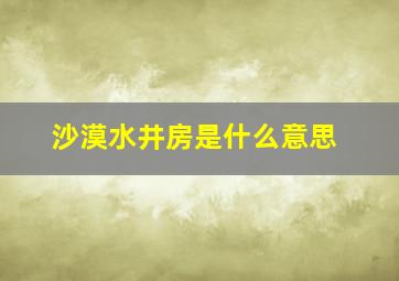 沙漠水井房是什么意思