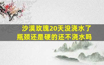 沙漠玫瑰20天没浇水了瓶颈还是硬的还不浇水吗