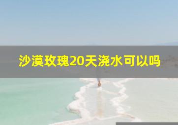 沙漠玫瑰20天浇水可以吗