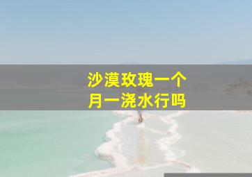 沙漠玫瑰一个月一浇水行吗