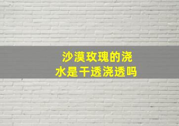 沙漠玫瑰的浇水是干透浇透吗