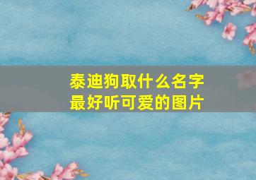 泰迪狗取什么名字最好听可爱的图片