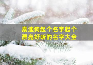 泰迪狗起个名字起个漂亮好听的名字大全