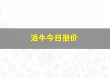 活牛今日报价