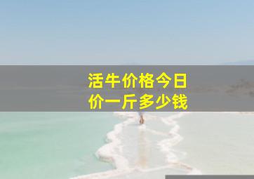 活牛价格今日价一斤多少钱