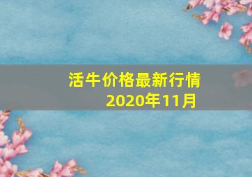 活牛价格最新行情2020年11月