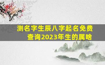 测名字生辰八字起名免费查询2023年生的属啥