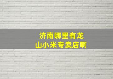 济南哪里有龙山小米专卖店啊