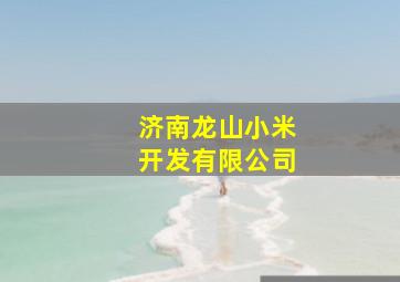 济南龙山小米开发有限公司