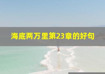 海底两万里第23章的好句