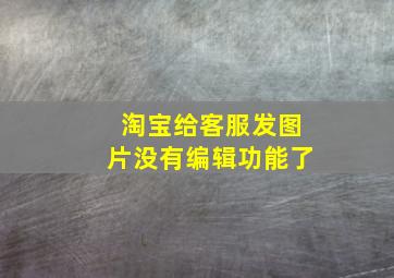 淘宝给客服发图片没有编辑功能了