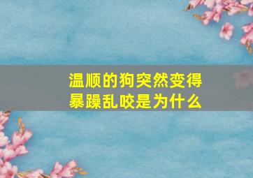 温顺的狗突然变得暴躁乱咬是为什么