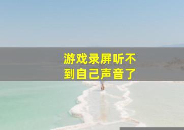 游戏录屏听不到自己声音了