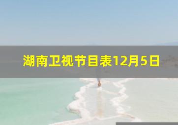 湖南卫视节目表12月5日