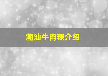 潮汕牛肉粿介绍