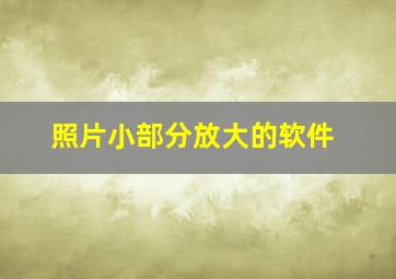 照片小部分放大的软件