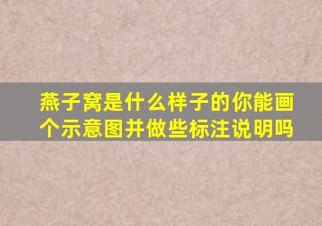 燕子窝是什么样子的你能画个示意图并做些标注说明吗