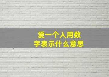 爱一个人用数字表示什么意思