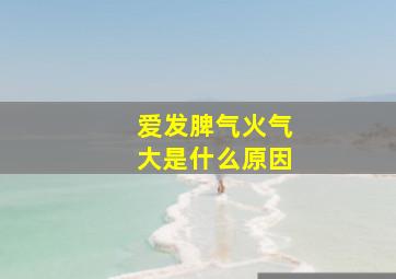 爱发脾气火气大是什么原因