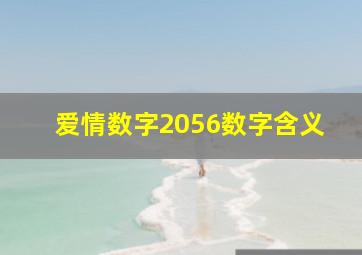 爱情数字2056数字含义