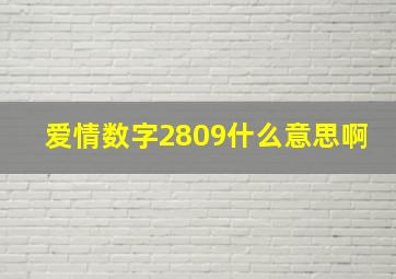 爱情数字2809什么意思啊