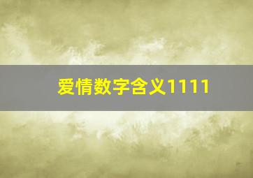 爱情数字含义1111