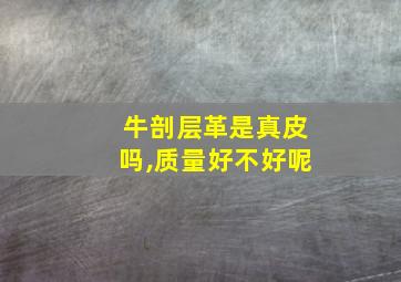 牛剖层革是真皮吗,质量好不好呢