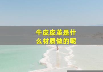 牛皮皮革是什么材质做的呢