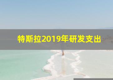 特斯拉2019年研发支出