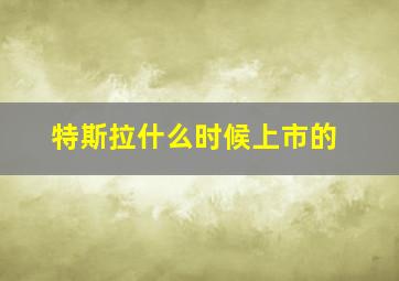 特斯拉什么时候上市的