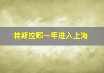 特斯拉哪一年进入上海