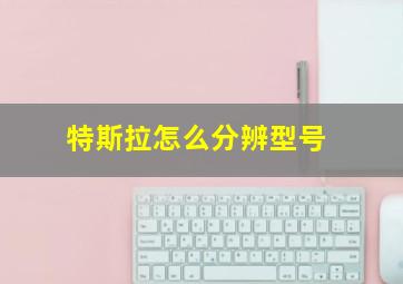 特斯拉怎么分辨型号