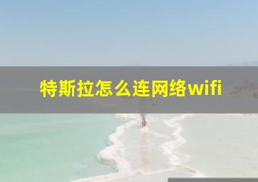 特斯拉怎么连网络wifi